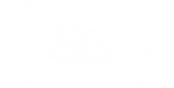 SG Imports & Exports